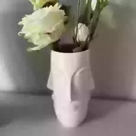 Face White  Vase 